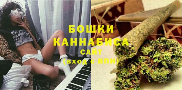 прущие грибы Сафоново