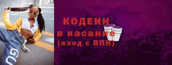 прущий лед Алзамай