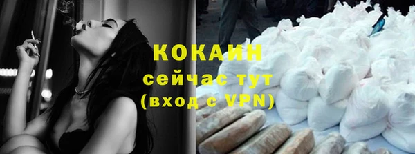 прущий лед Алзамай