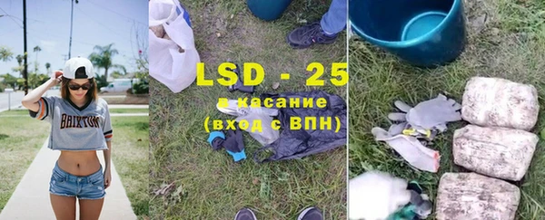 прущие грибы Сафоново