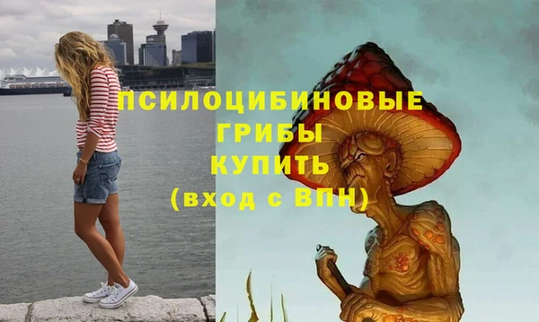 таблы Алексеевка
